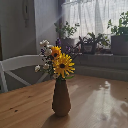 Zur Alten Schnitzerei Grunhainichen