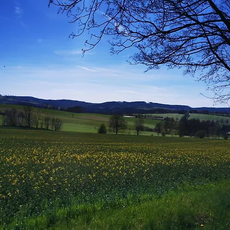 Zur Alten Schnitzerei Daire *