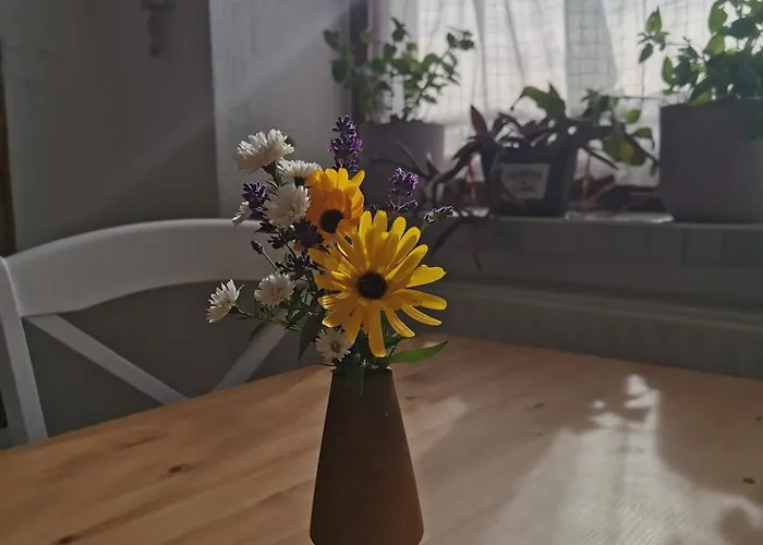 Zur Alten Schnitzerei Grunhainichen