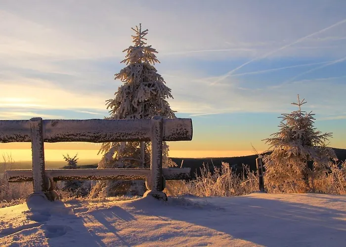 Zur Alten Schnitzerei Grunhainichen