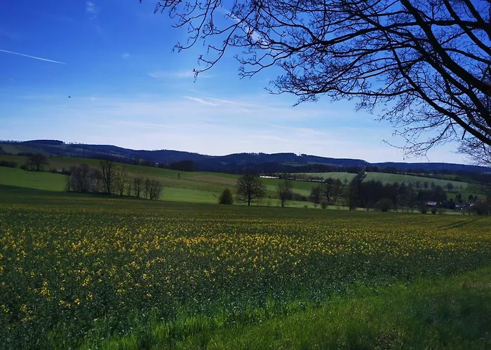 Zur Alten Schnitzerei Apartment *